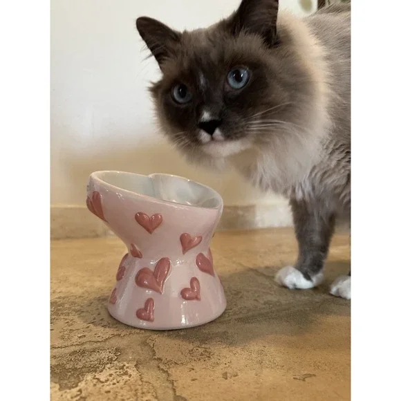 petal & Pearl Elevate Ceramic Cat Feather Pink Embossed Hearts - Picture 6 of 9